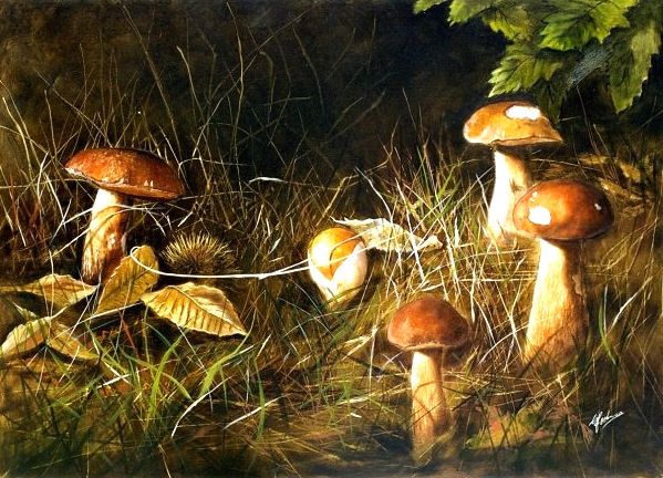 Sottobosco, dipinto di Celestina Fortuna